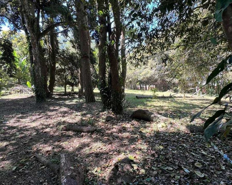 *Vendo amplio terreno en Km 17.5 Carr. El Salvador, Arrazola III* (C)