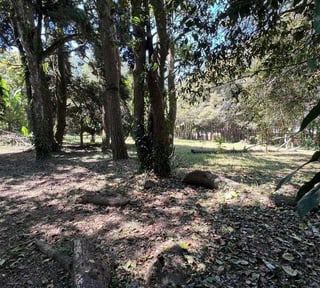 *Vendo amplio terreno en Km 17.5 Carr. El Salvador, Arrazola III* (C)