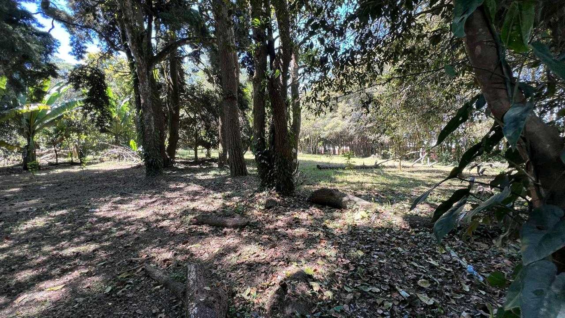 *Vendo amplio terreno en Km 17.5 Carr. El Salvador, Arrazola III* (C)