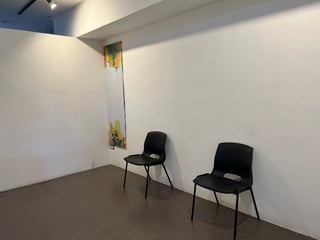 Alquilo local comercial en Pradera zona 10 - 3