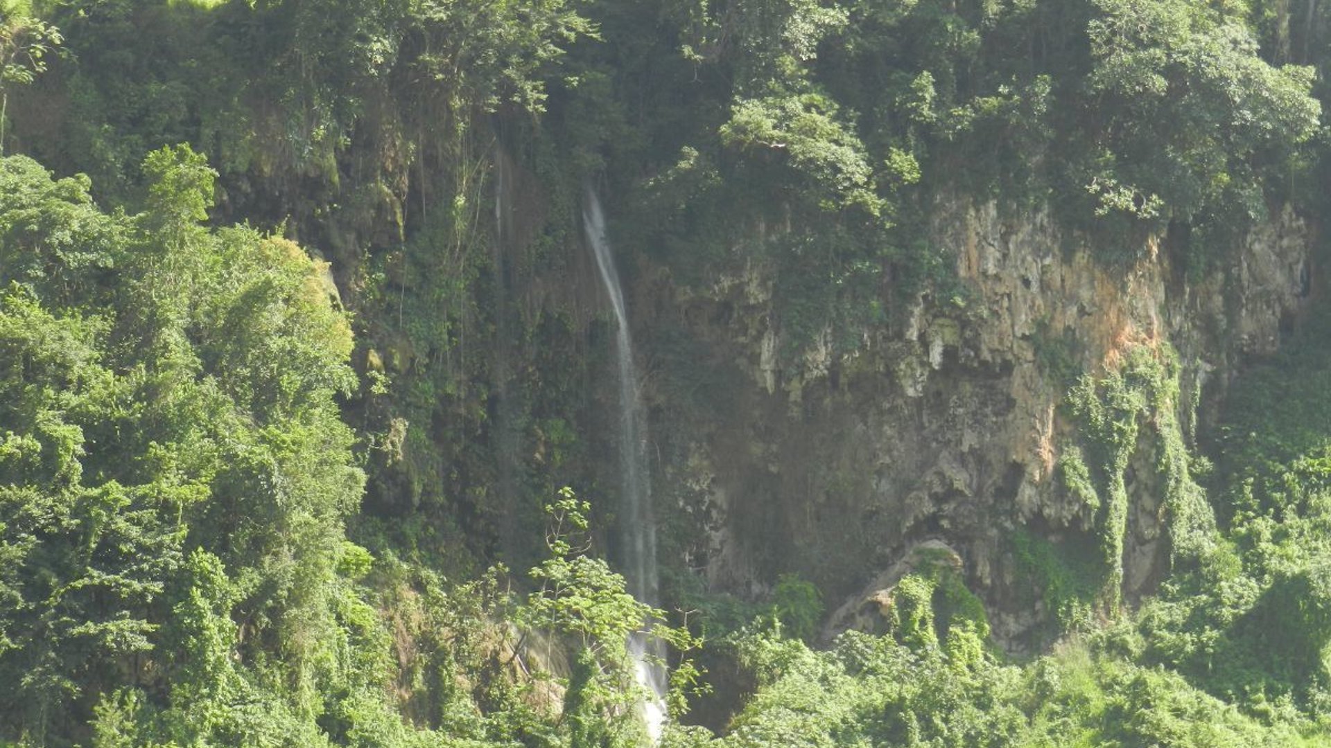 Finca en VENTA  de 30.78 caballerías en Cobán - Miniatura 2