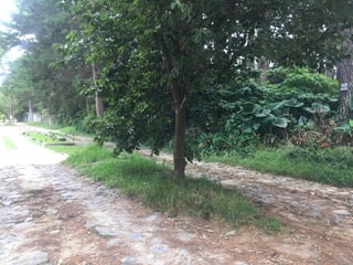 Vendo Terreno en San Lucas Sac. en Condominio Jardines de Santiago - 5