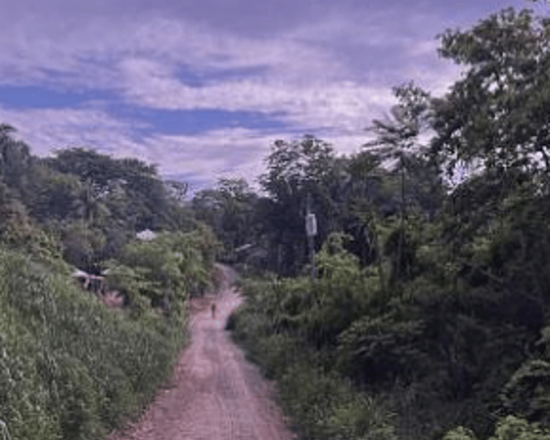 Fincas en VENTA en Aldea Palo Alto Alta Verapaz Coban