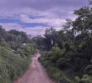 Fincas en VENTA en Aldea Palo Alto Alta Verapaz Coban