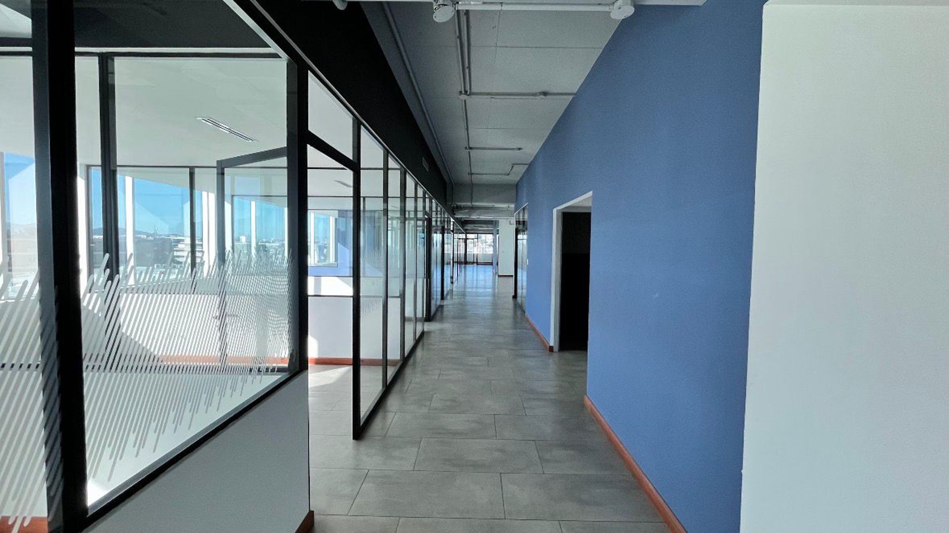 Alquiler de 524.60mts  de oficina tabicada en avenida Reforma zona 9