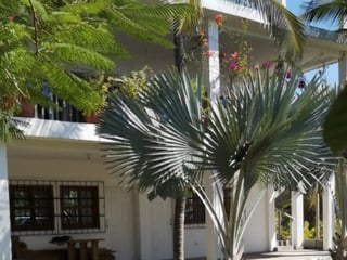 Casa en Venta Aldea el Hawai, Chiquimulilla, Santa Rosa - 4