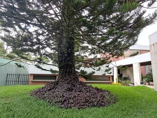 Casa en VENTA en Zona 16 La Montaña - 4