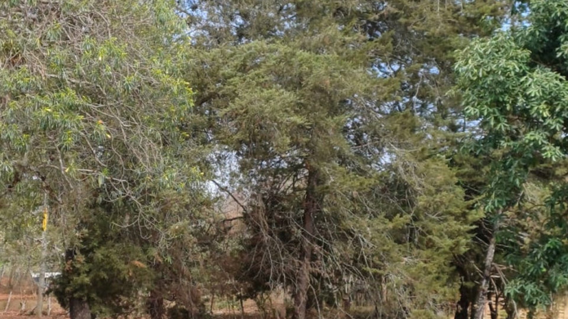 Terrenos en Venta, San Pedro Ayampuc - Miniatura 6