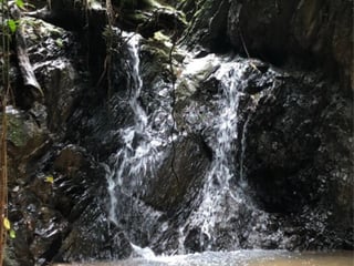 FINCA DE 4 CABALLERÍAS EN VENTA EN IZABAL, KM 267 CA9 NORTE - 5