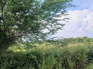Vendo amplios terrenos ubicados en Escuintla, Puerto Quetzal - 2