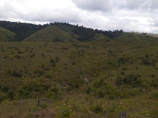 FINCA PROPIEDAD FORESTAL Y DE CONSERVACIÓN EN PETÉN - 5