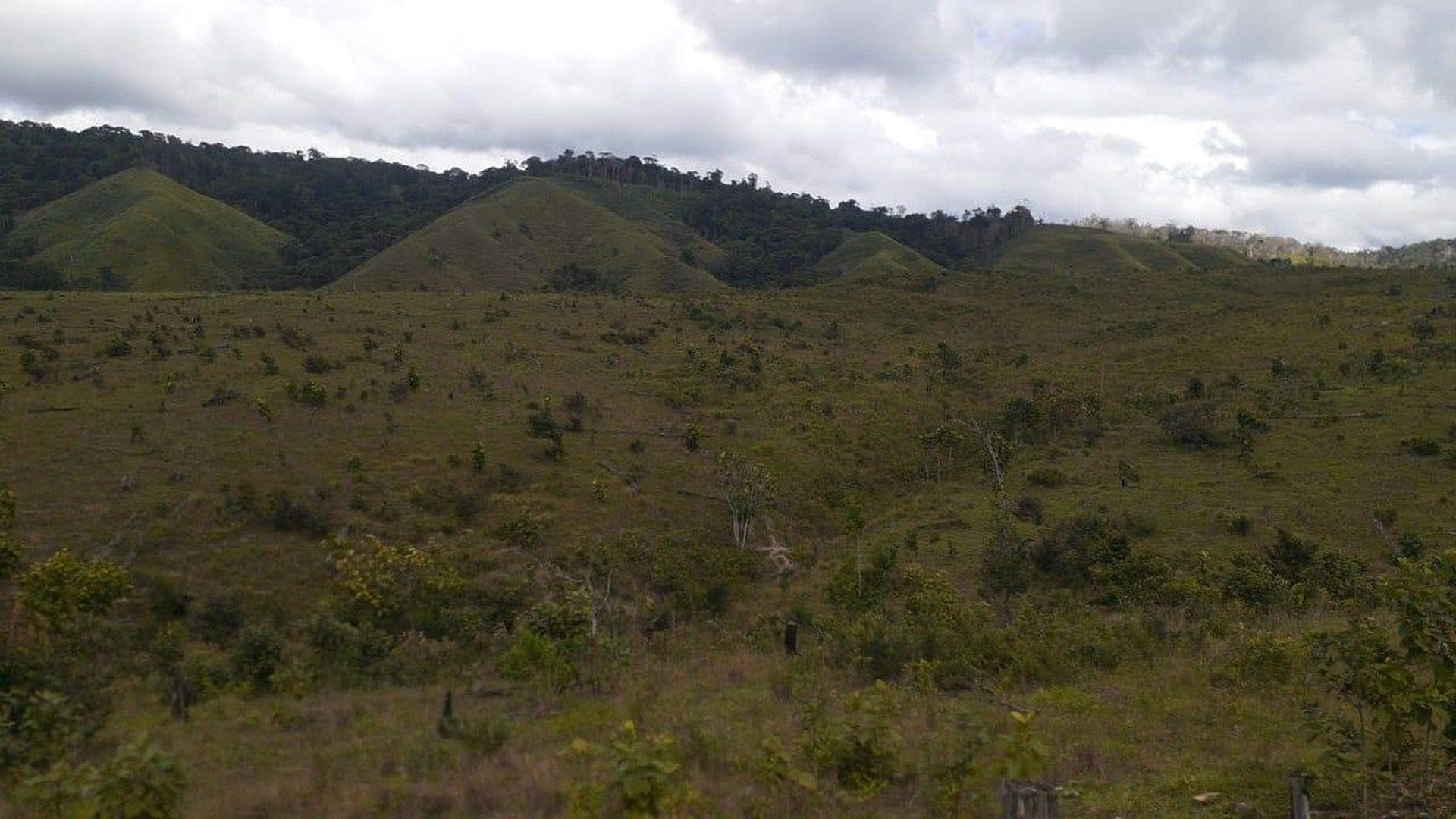 FINCA PROPIEDAD FORESTAL Y DE CONSERVACIÓN EN PETÉN - Miniatura 5