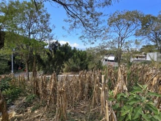 Terreno en Venta Santa Catarina Pinula, Guatemala - 4