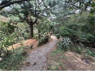 TERRENO EN VENTA SOBRE CARRETERA – KM 29.5 CAES - 5
