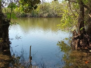 FINCA EN VENTA – SAN ANDRÉS, PETÉN - 3