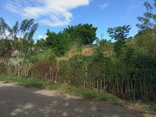 4 LOTES EN VENTA EN EL VALLE DEL MOTAGUA GUALAN ZACAPA - 4