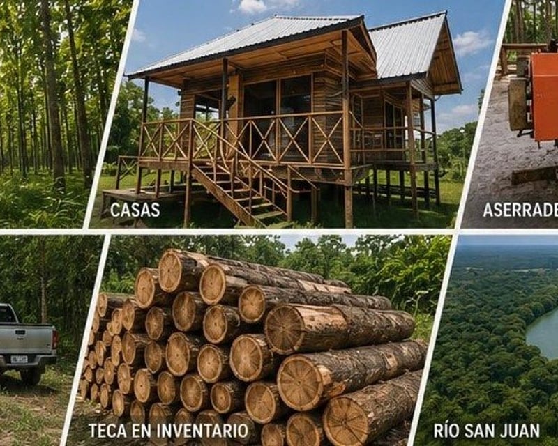 FINCA FORESTAL DE TECA EN VENTA – SAYAXCHÉ, PETÉN, GUATEMALA