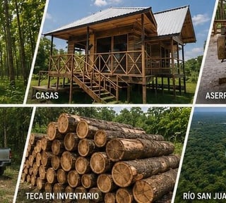 FINCA FORESTAL DE TECA EN VENTA – SAYAXCHÉ, PETÉN, GUATEMALA