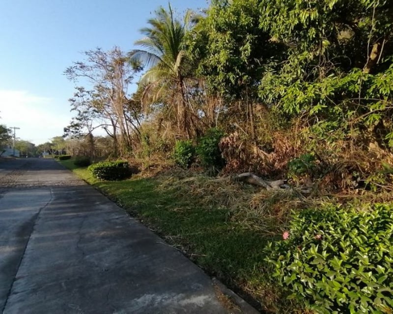 Terreno en Venta Quintas La Ponderosa