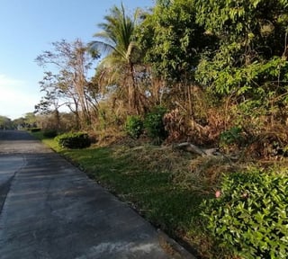 Terreno en Venta Quintas La Ponderosa