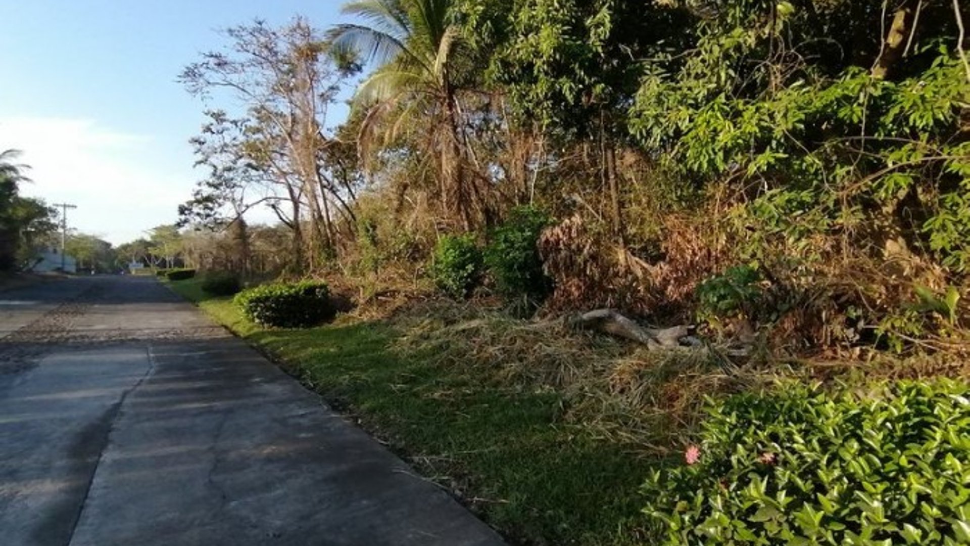 Terreno en Venta Quintas La Ponderosa