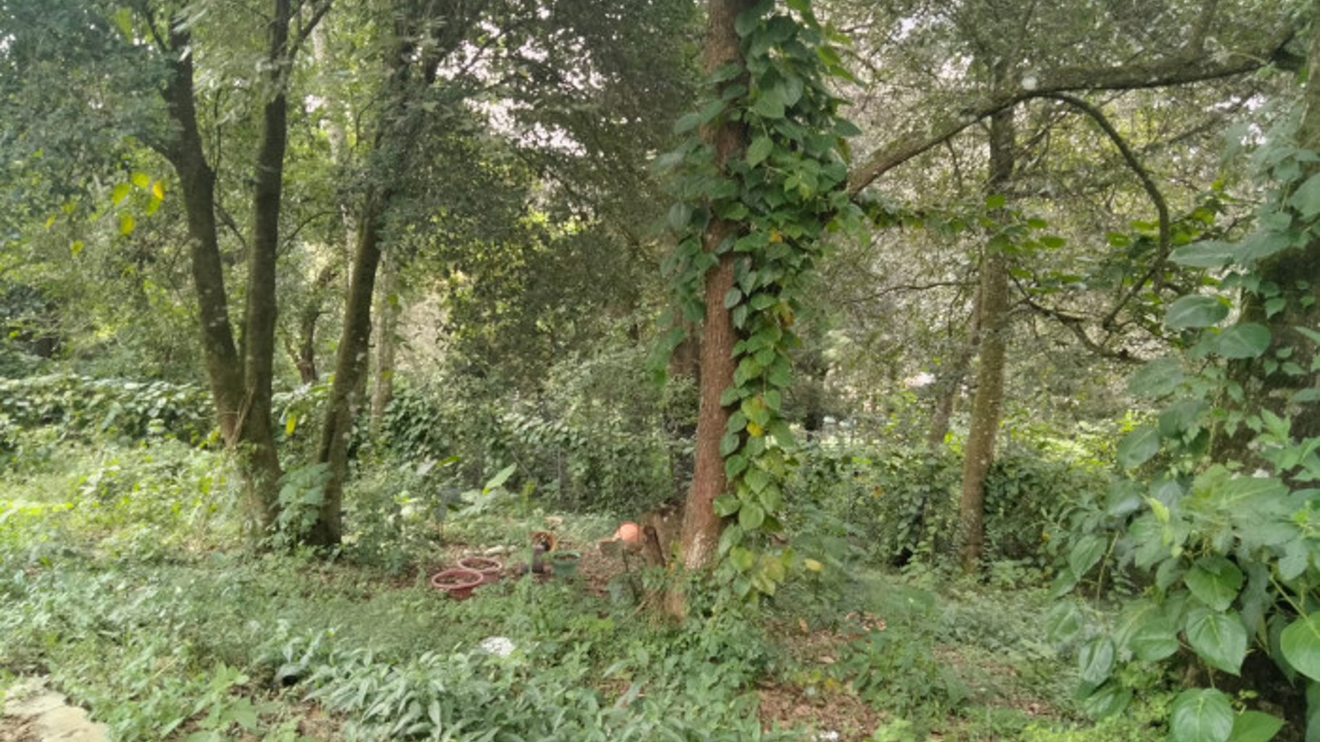 TERRENO EN VENTA EN SAN LUCAS SACATEPEQUEZ - Miniatura 24