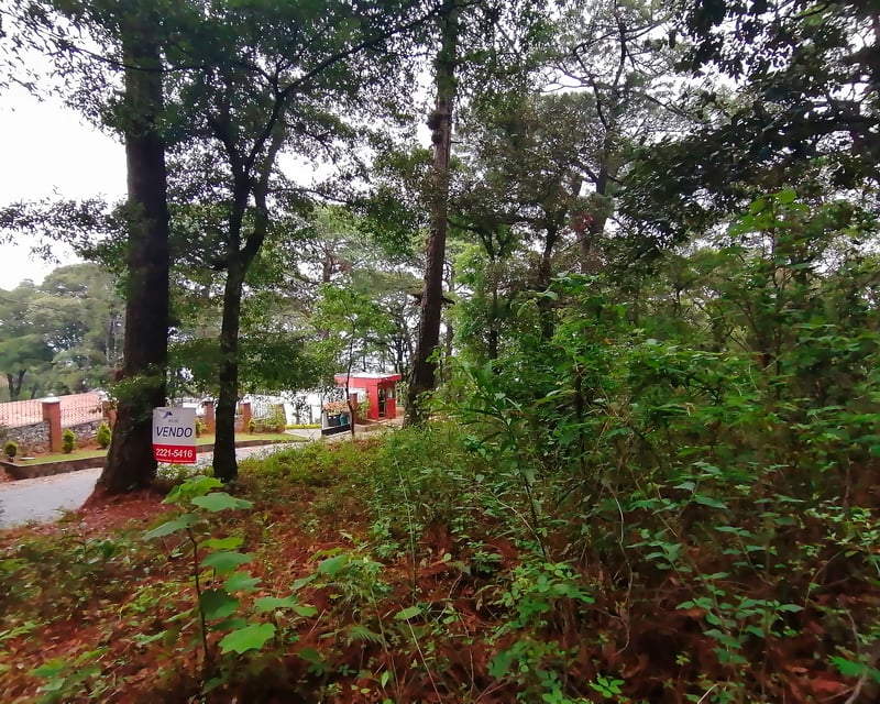 Vendo Terreno, Bosque Exclusivo | Labor de Castilla 1