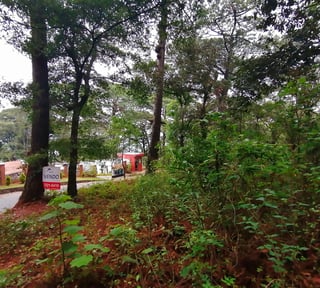 Vendo Terreno, Bosque Exclusivo | Labor de Castilla 1