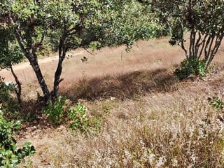 Terreno en Venta - 98m2 Huehuetenango, Guatemala - ¡Oportunidad! - 3