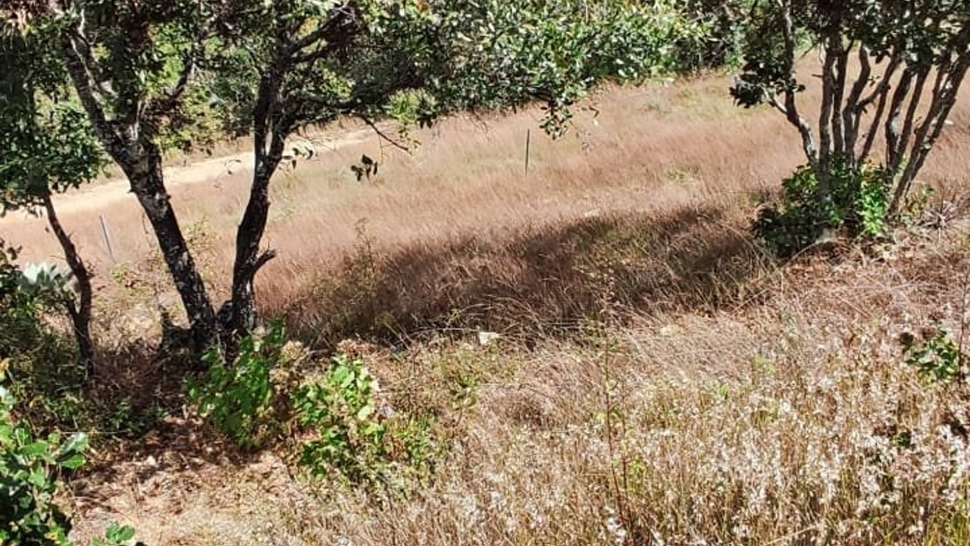 Terreno en Venta - 98m2 Huehuetenango, Guatemala - ¡Oportunidad! - Miniatura 3
