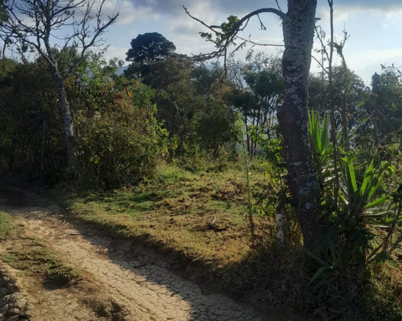 Vendo Terreno ruta a Santiago Sact.  Finca Chiximoy