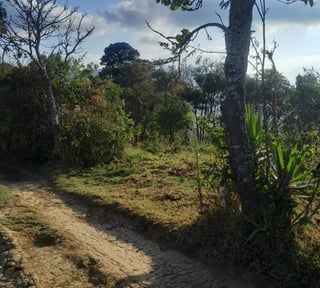 Vendo Terreno ruta a Santiago Sact.  Finca Chiximoy