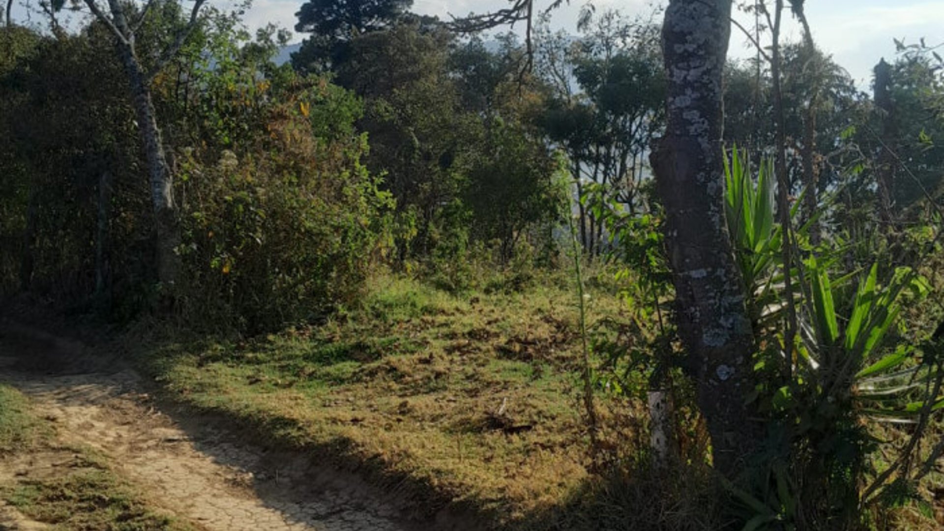 Vendo Terreno ruta a Santiago Sact.  Finca Chiximoy