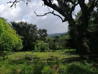 Terrenos en Venta San German de la montaña Km 20.5 camino a Fraijanes - 2