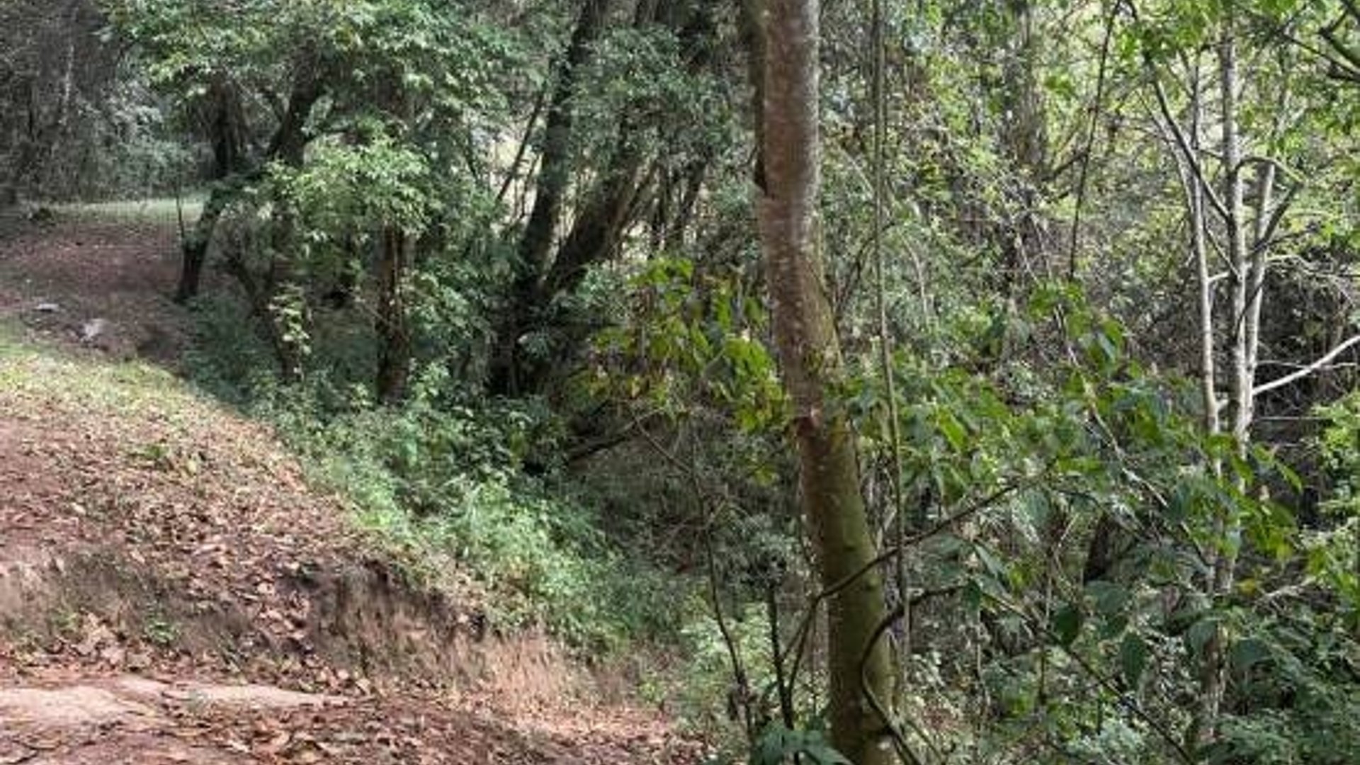 Terreno en Venta, Mixco (V9991) - Miniatura 8