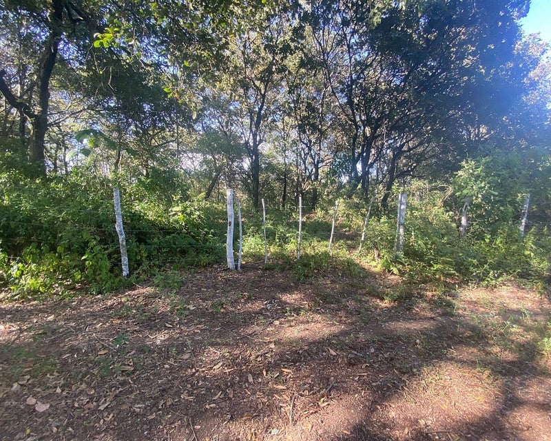 Terreno en Venta Mixco Zona 7, El Encinal, 1 Manzana