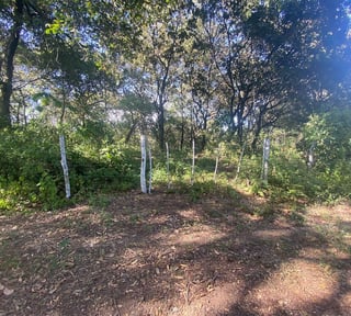 Terreno en Venta Mixco Zona 7, El Encinal, 1 Manzana