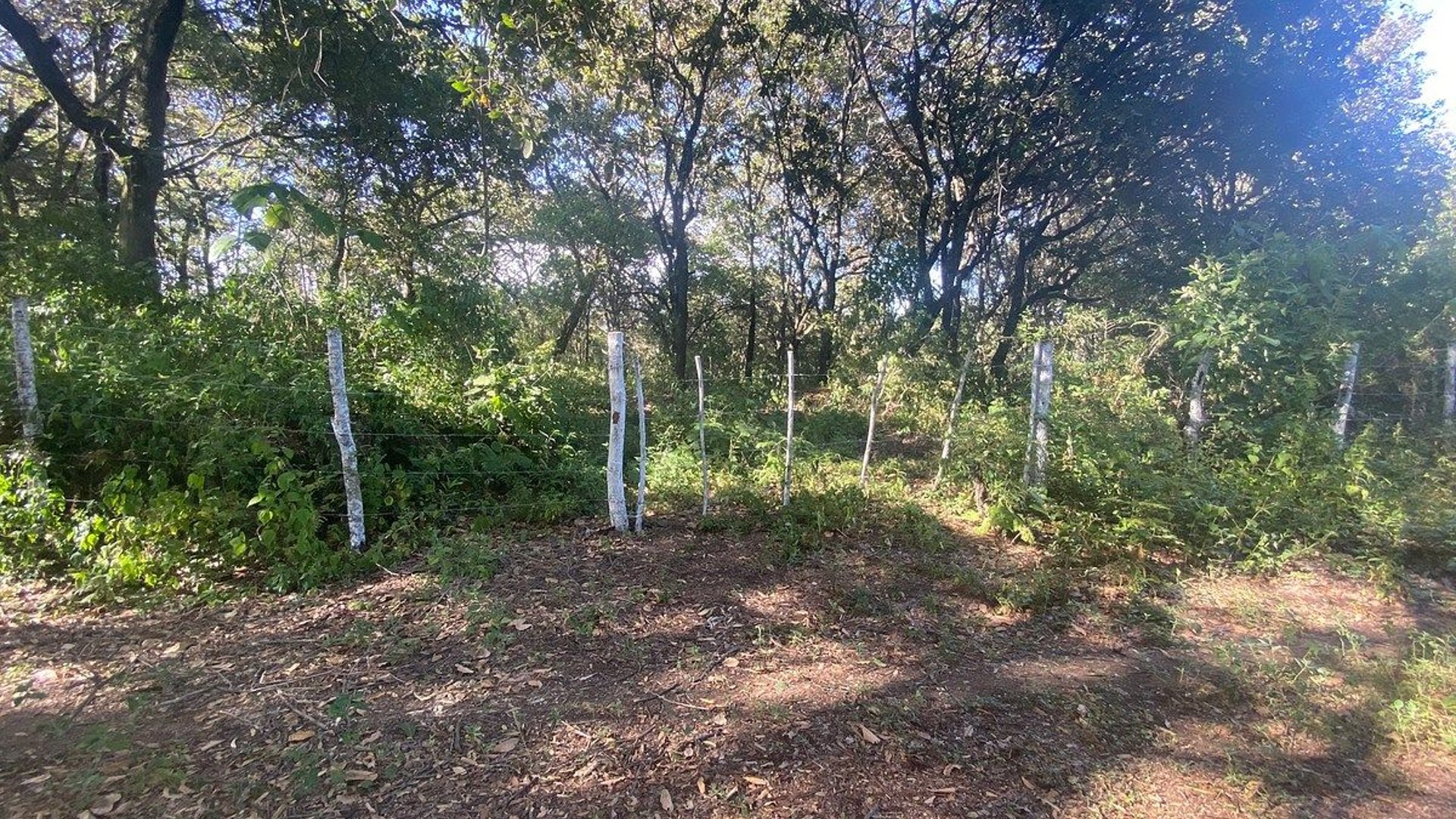 Terreno en Venta Mixco Zona 7, El Encinal, 1 Manzana
