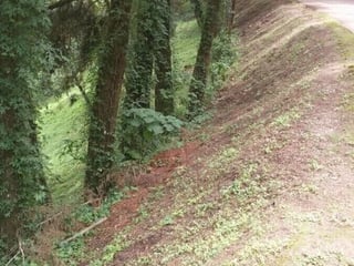 VENTA DE TERRENO EN SANTA ROSALIA LA LAGUNA - Image 3