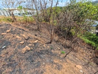 Terreno en Venta San Cristóbal en Colonia sobre Bulevar - 4