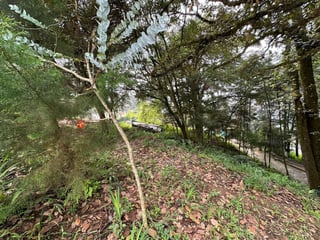 Terreno Residencial en Venta - Santa Lucia Milpas Altas - 3
