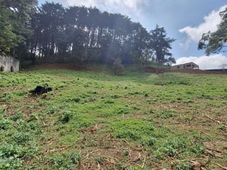 Terreno comercial en alquiler en Santa Catarina Pinula - 5
