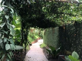 Apartamento en Alquiler Trento Diez zona 10 - Image 14