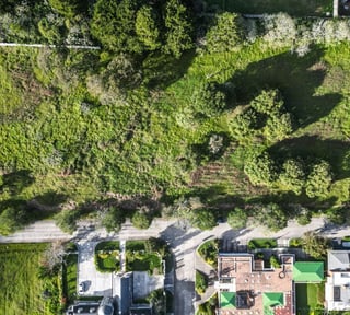 Terreno en VENTA en Condado  Francisco Javier