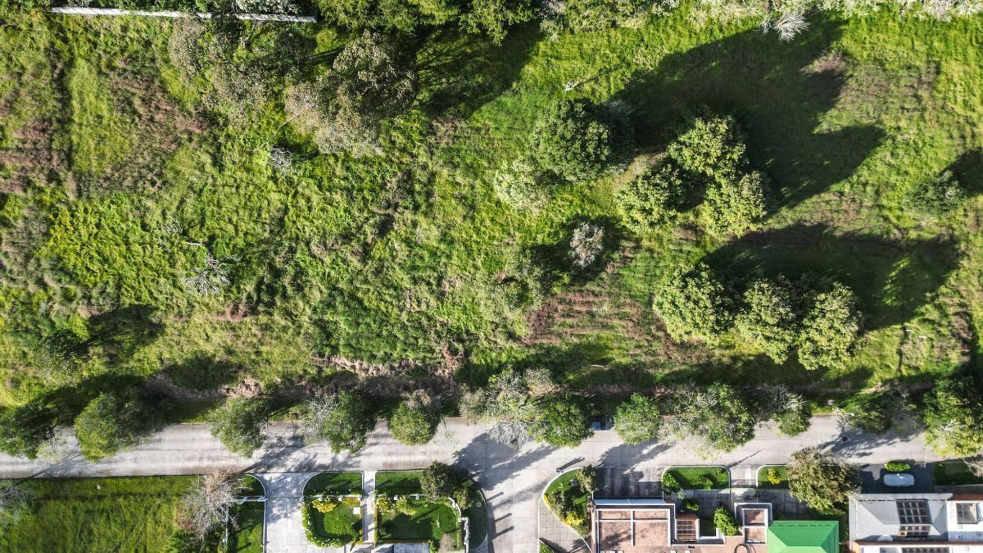 Terreno en VENTA en Condado  Francisco Javier