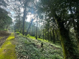 Terreno en venta, en San Lucas Sacatepéquez - 4
