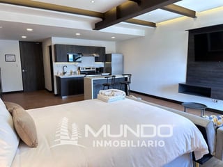ZONA 10 APARTAMENTO RENTA AMOBLADO TIPO ESTUDIO - 4