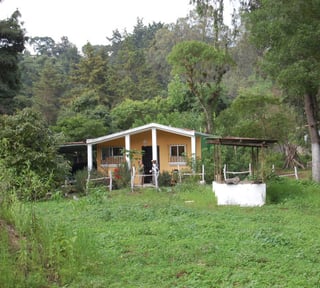 Citymax Antigua Vende Granja en Sumpango