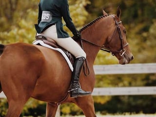 Vendo Hermosa Casa Tipo Mirlo en Proyecto Sauces de el Pulte - Image 13