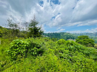 VENTA DE AMPLIO TERRENO - LAS MANZANILLAS, KM 19.9 CES - 4